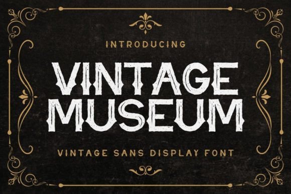 Why Vintage Museum Is the Display Font Your Brand Needs